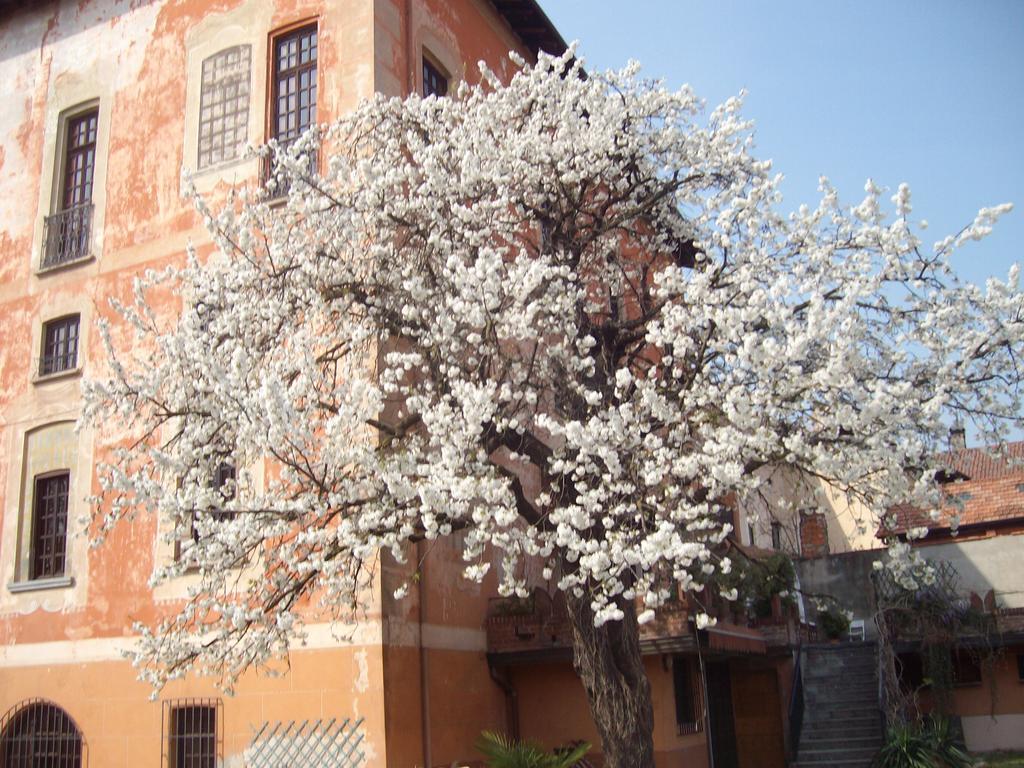 Ferienwohnung Il Castello Delle Meraviglie Fontaneto d'Agogna Exterior foto